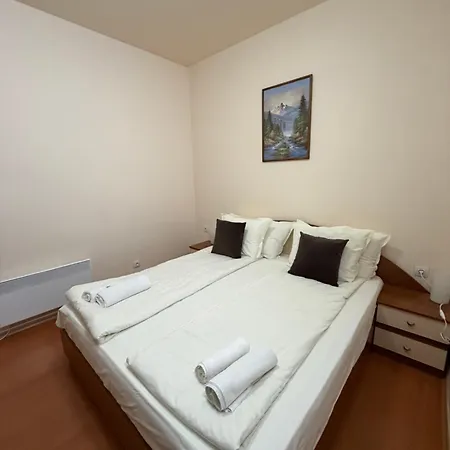Charming One Bed 423 In Main Flora Building Borovets