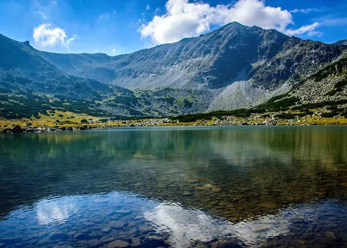 Charming One Bed 423 In Main Flora Building Appartement *