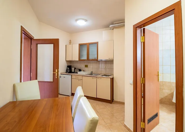 Charming One Bed 423 In Main Flora Building Borovets