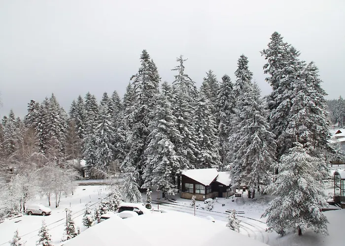 Charming One Bed 423 In Main Flora Building Appartement Borovets